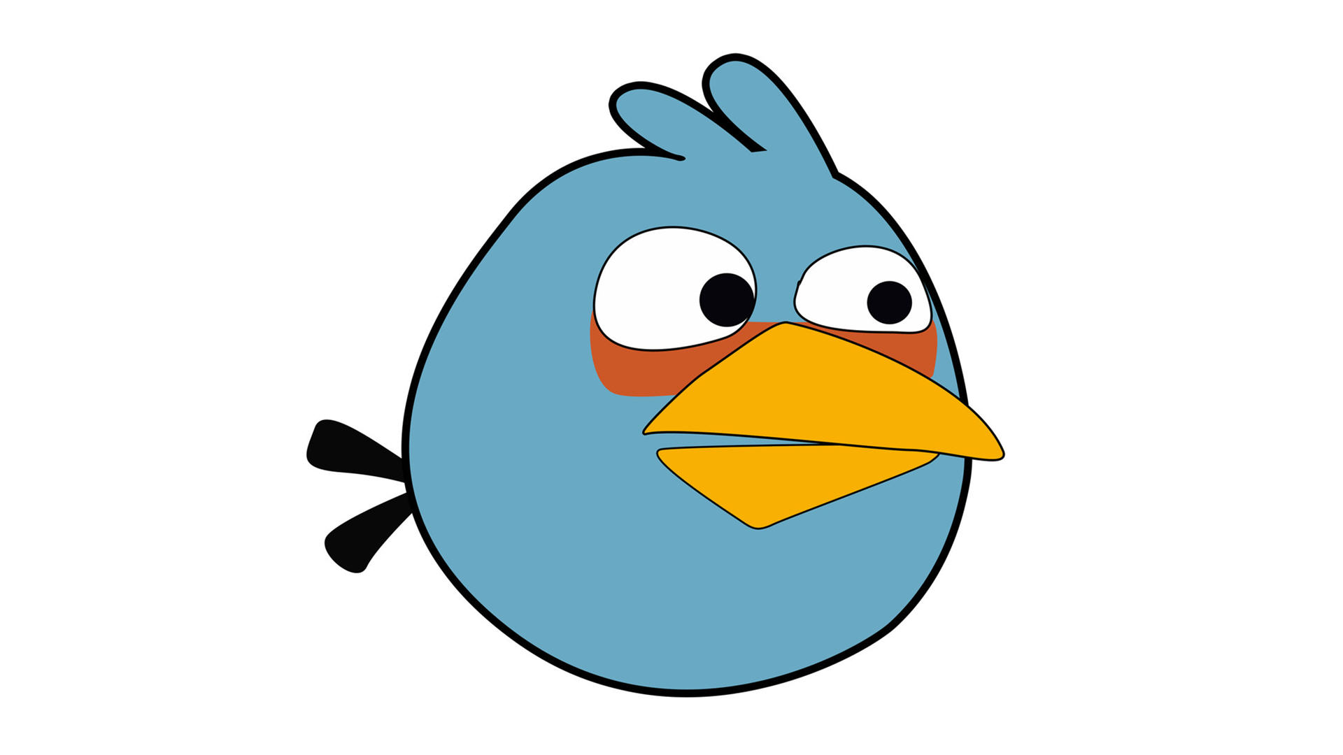 Blue Angry Bird - HD Wallpaper 