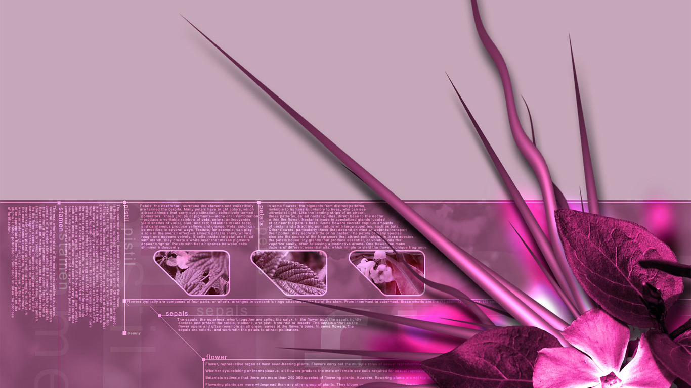 Pink Abstract Flower Hd Free Spot 256315 Wallpaper - Pink Hd Guitar Background - HD Wallpaper 