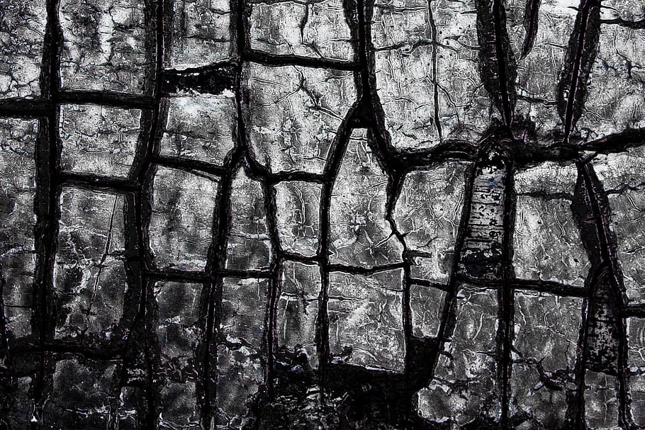 Wood, Charred, Burned, Ash, Texture, Abstract, Full - Tree - HD Wallpaper 