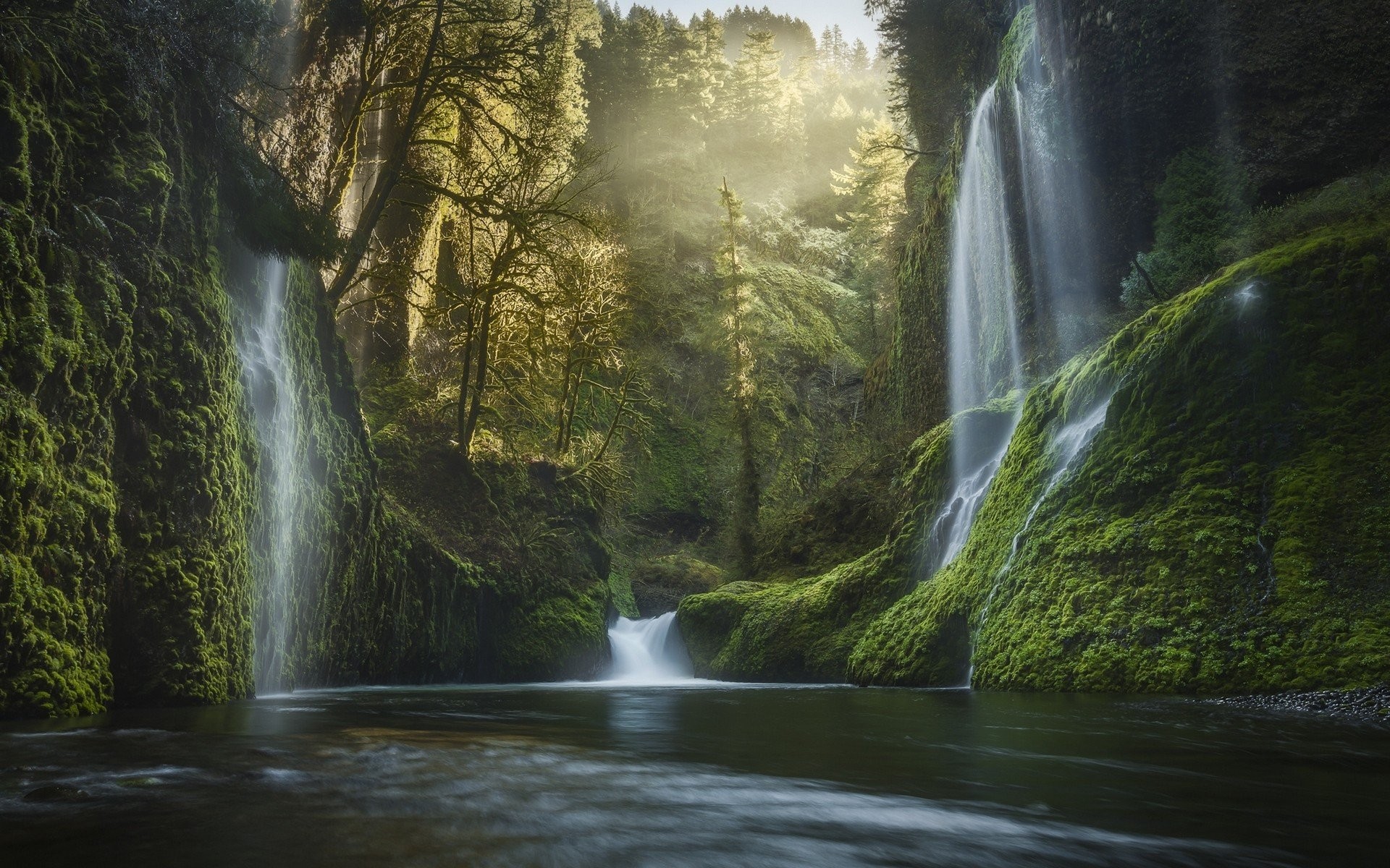 Beautiful Forest With River - 1920x1200 Wallpaper Beautiful Forest With River - 1920x1200 Wallpaper