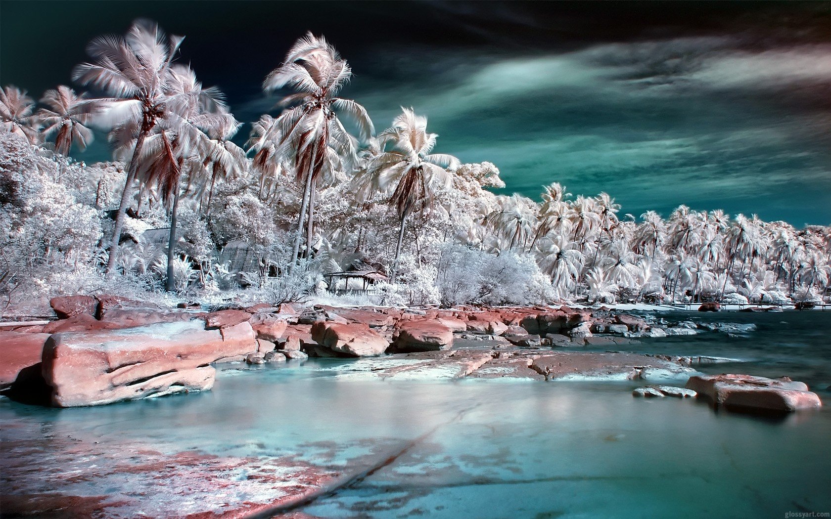 Infrared Photography - HD Wallpaper 
