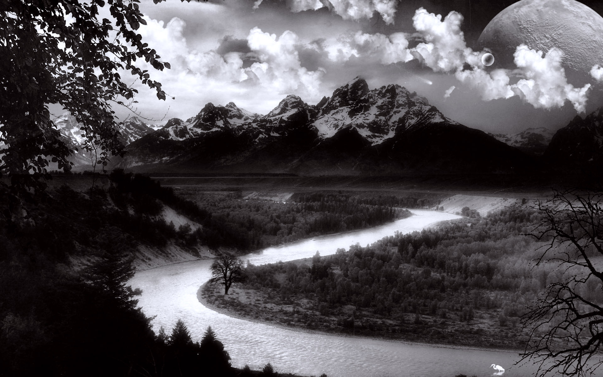 Black And White Nature Photos Backgrounds - HD Wallpaper 