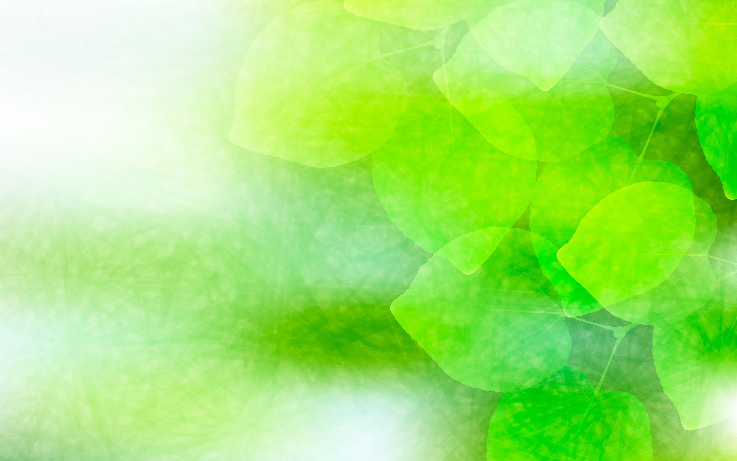 Green Leaves, Green Glare, Abstract Leaves, Creative, - Зеленый Фон С Листьями - HD Wallpaper 