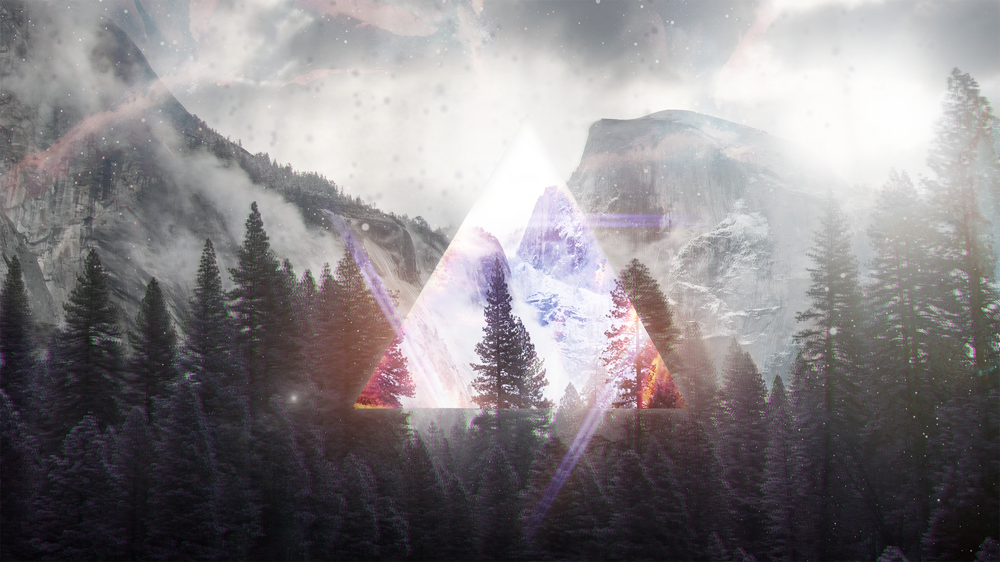 Taiga Forest Wallpaper Hd - HD Wallpaper 