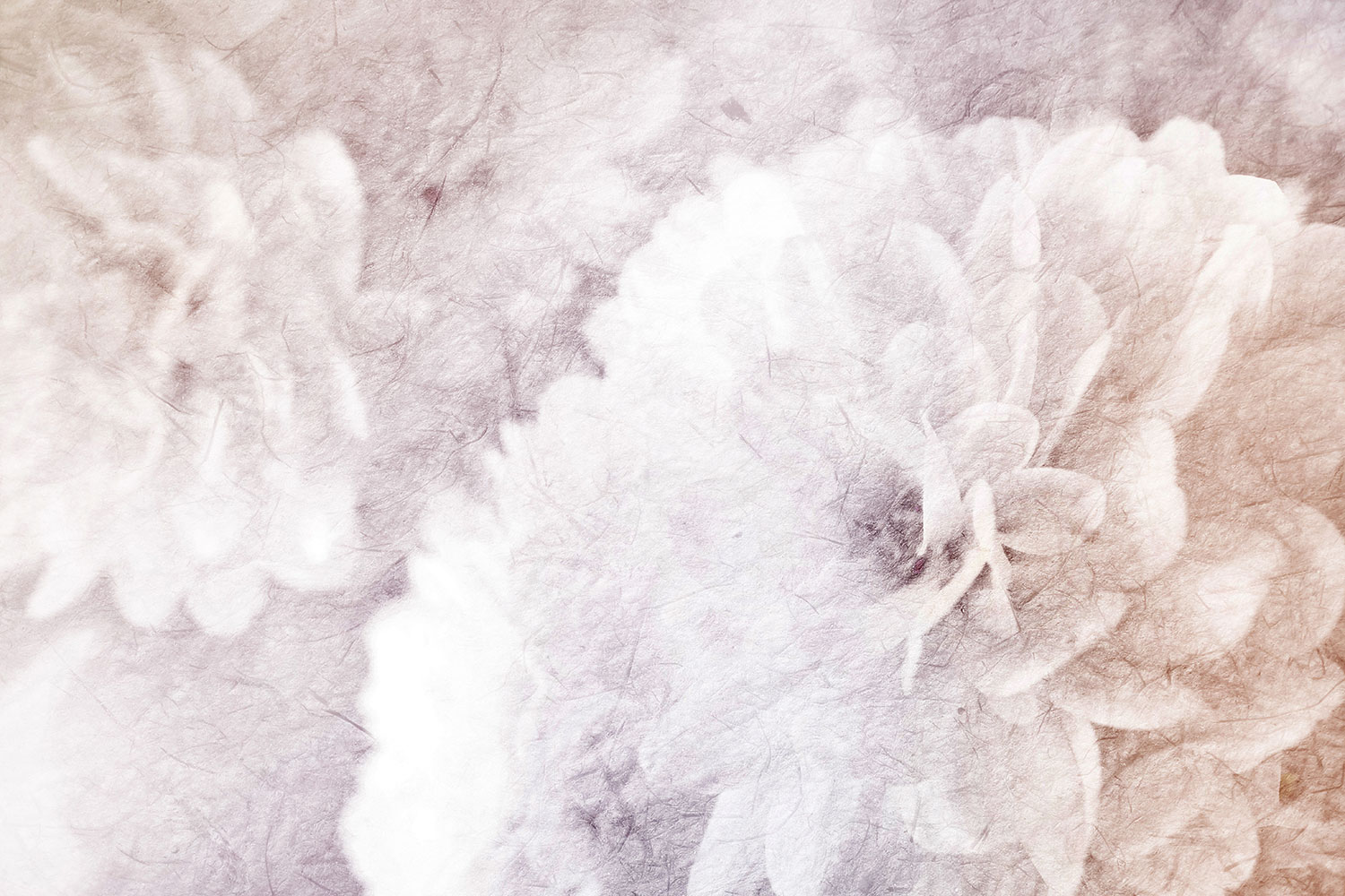 Abstract Flowers - HD Wallpaper 