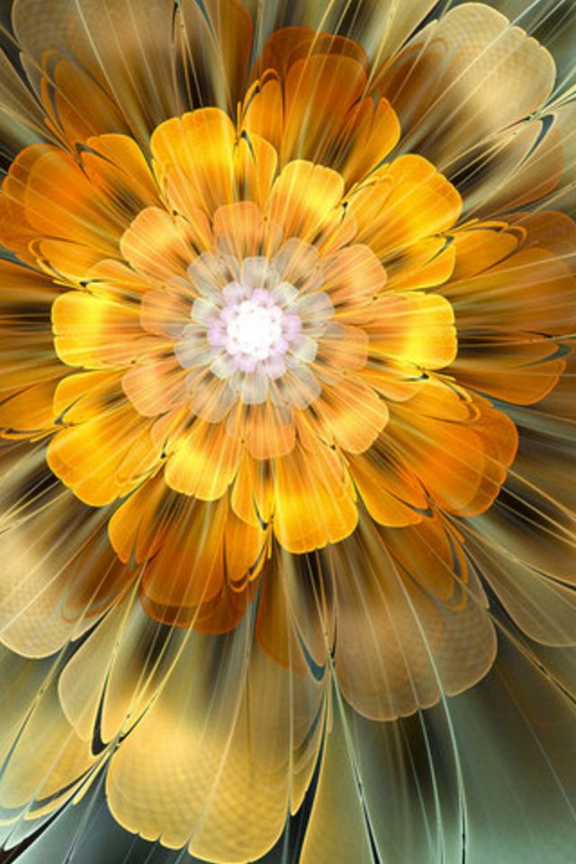 Abstract Flower Wallpaper - Abstract Flower - HD Wallpaper 