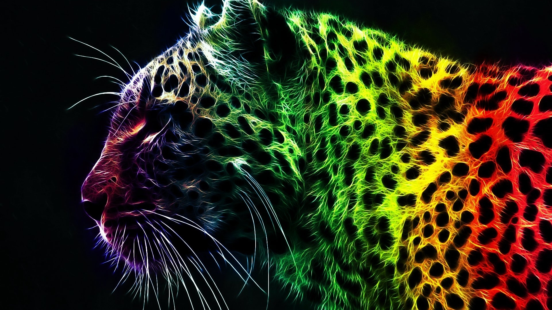 Colorful Wallpaper Of Tiger - HD Wallpaper 