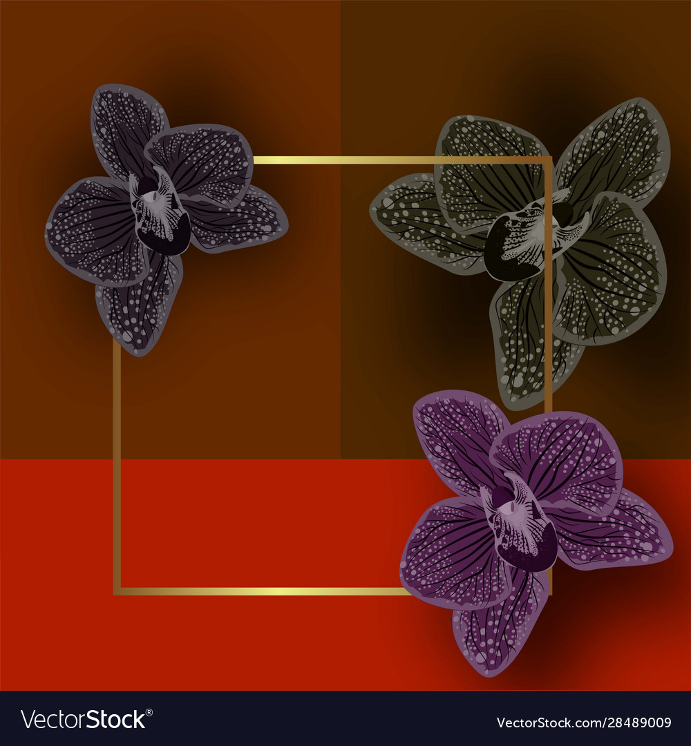 Illustration - HD Wallpaper 