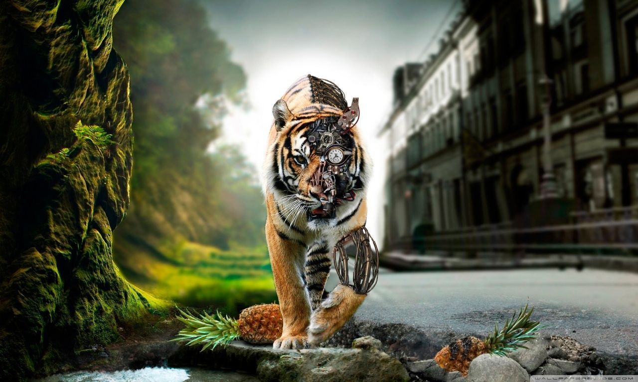 Adršpach-teplice Rocks - HD Wallpaper 