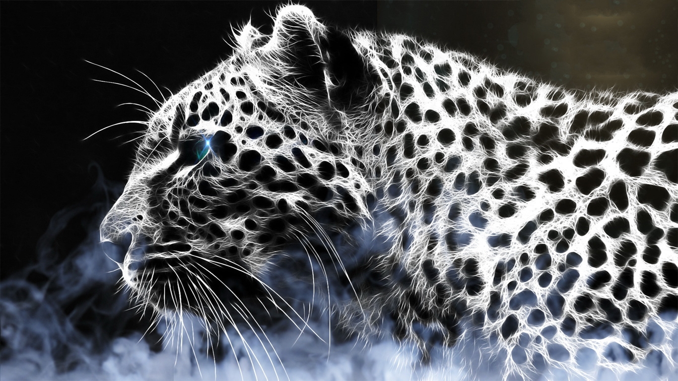 Best Hdq Cover Photos Of Leopard, Full Hd 1080p Desktop - HD Wallpaper 