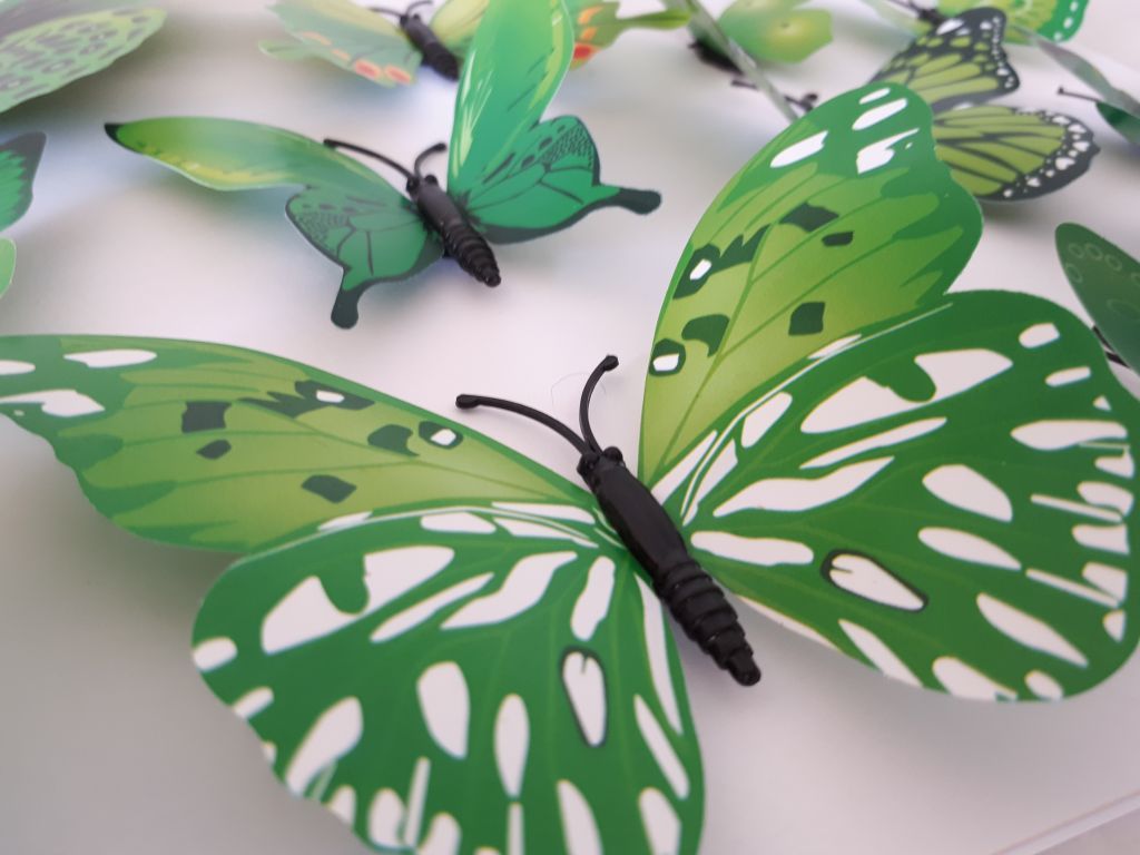 Brush-footed Butterfly - HD Wallpaper 