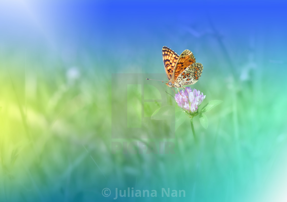 Beautiful Green Nature Background - Beautiful Wallpaper Nature Blue Background - HD Wallpaper 