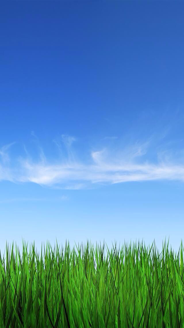 Blue Sky Green Grass Background 640x1136 Wallpaper teahub.io