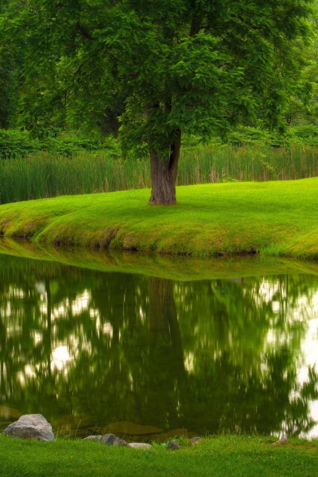 Обои Природа На Ноутбук - HD Wallpaper 