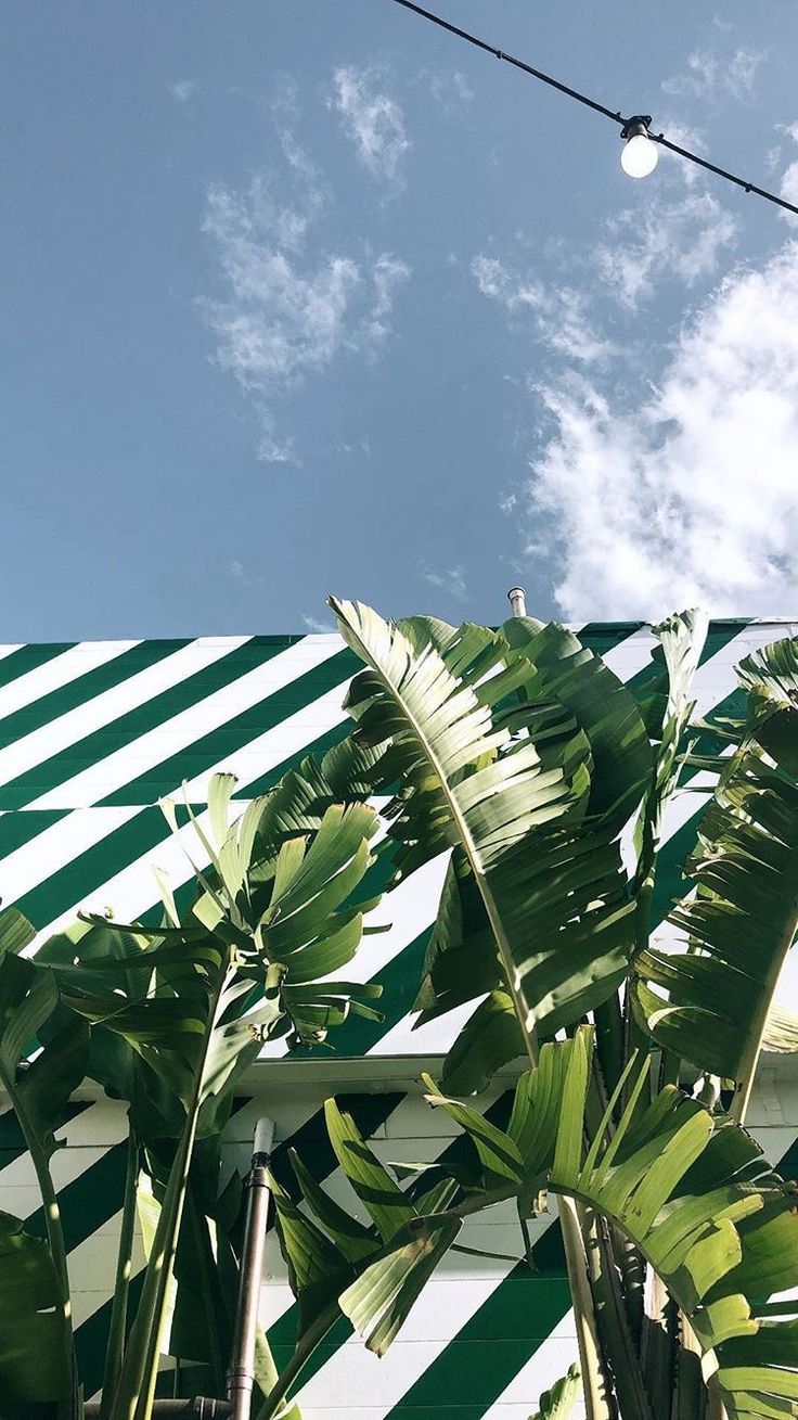 Lockscreen Aesthetic - HD Wallpaper 