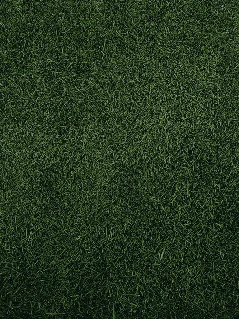 Artificial Turf - HD Wallpaper 