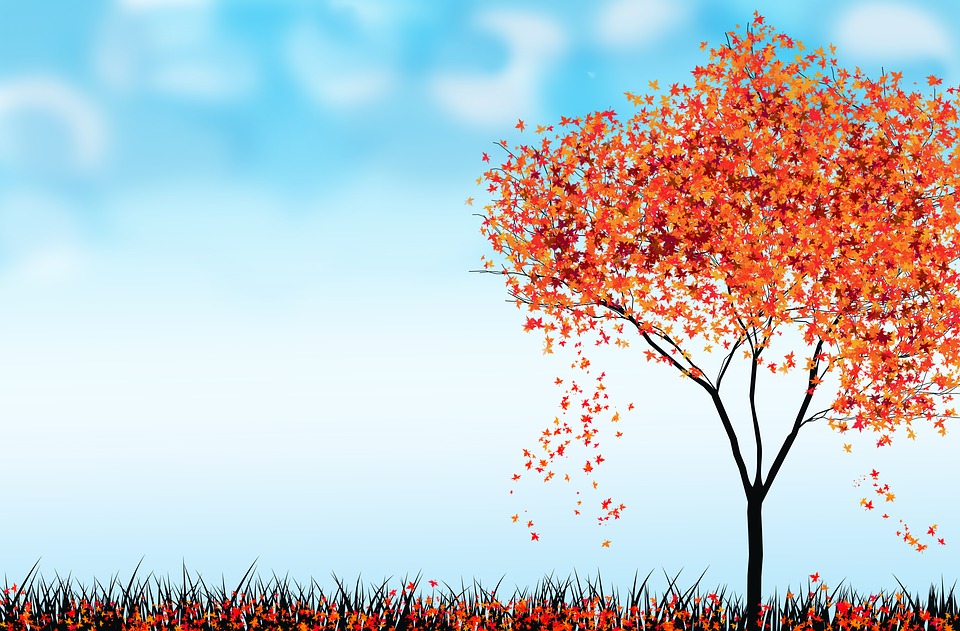 Wallpaper-1266600 960 720 - Background Tree With Falling Leaves - HD Wallpaper 