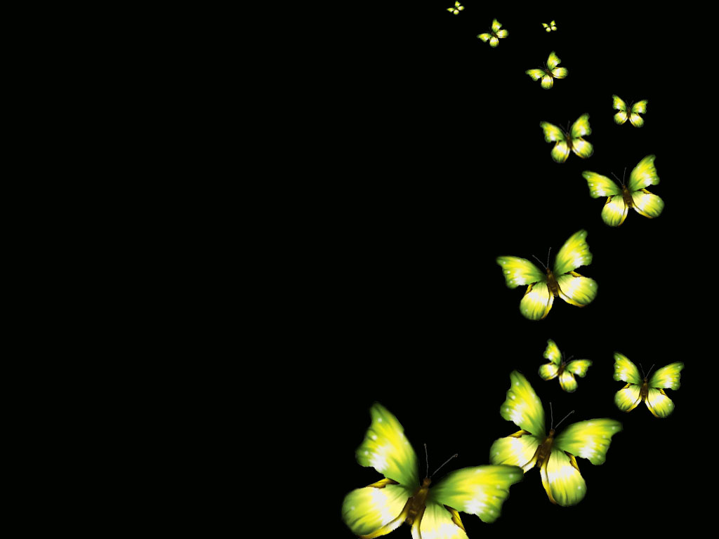 Butterfly Art - Love - 1024x768 Wallpaper Butterfly Art - Love - 1024x768 Wallpaper