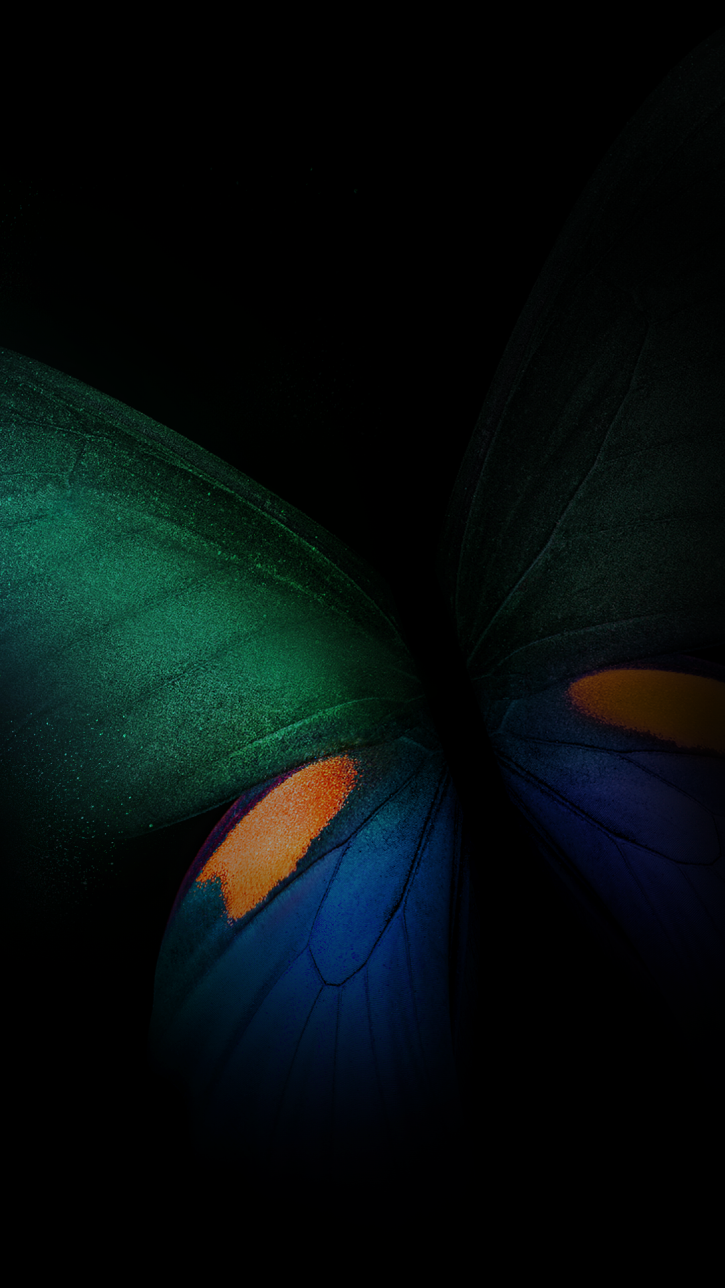 Green Butterfly Black Background - 1440x2560 Wallpaper Green Butterfly Black Background - 1440x2560 Wallpaper