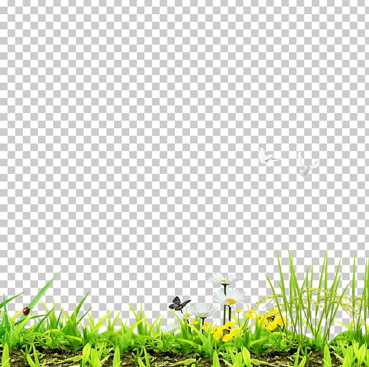 Lawn Designer Computer File Png, Clipart, Background - Bushes Png For Photoshop - HD Wallpaper 