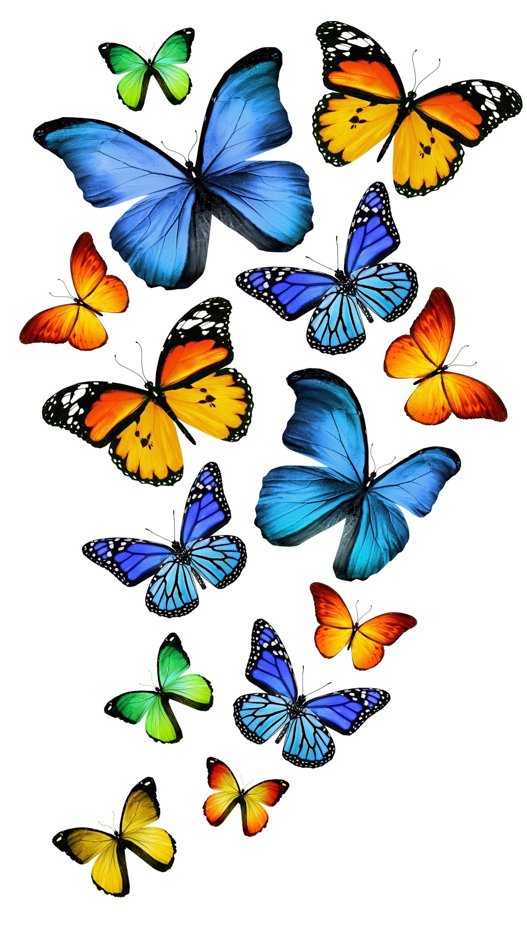 3d, Blue, Green, Blue, Yellow, Butterfly, Green, Yellow, - Yellow Butterfly - HD Wallpaper 