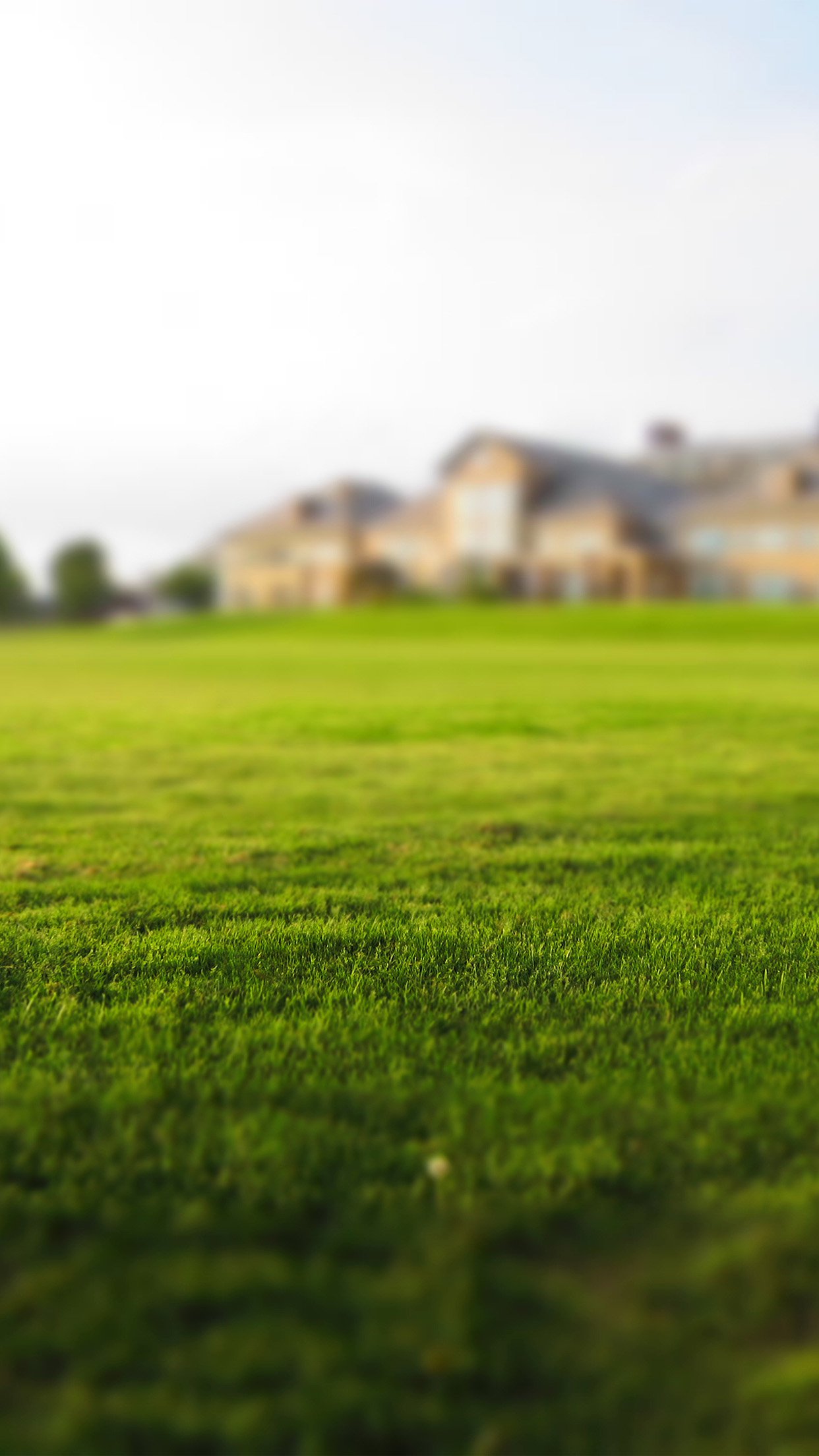 Garden Nature Green Lawn Android Wallpaper - Garden I Phone 6 - HD Wallpaper 