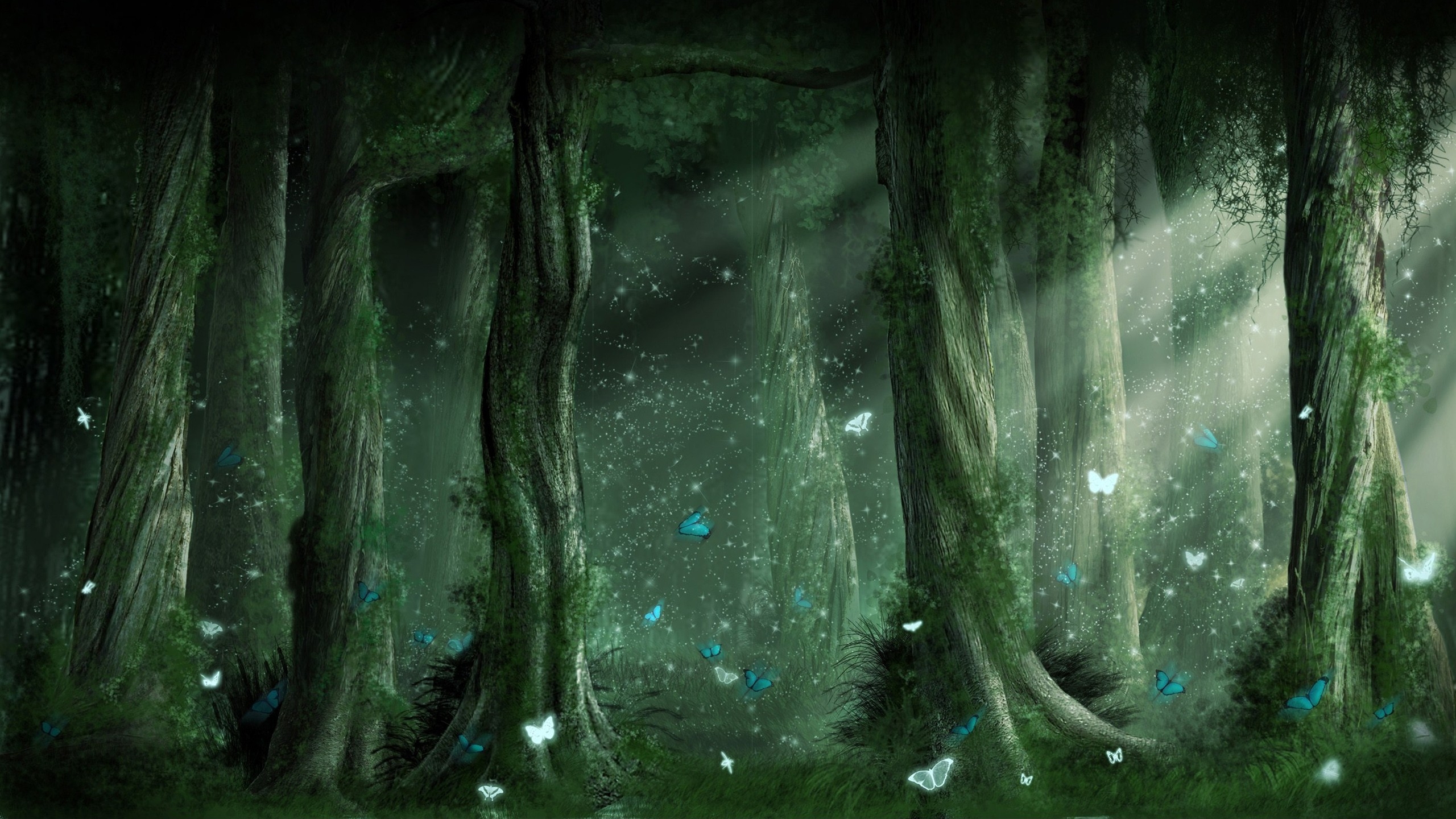 Fantasy Forest Background - HD Wallpaper 