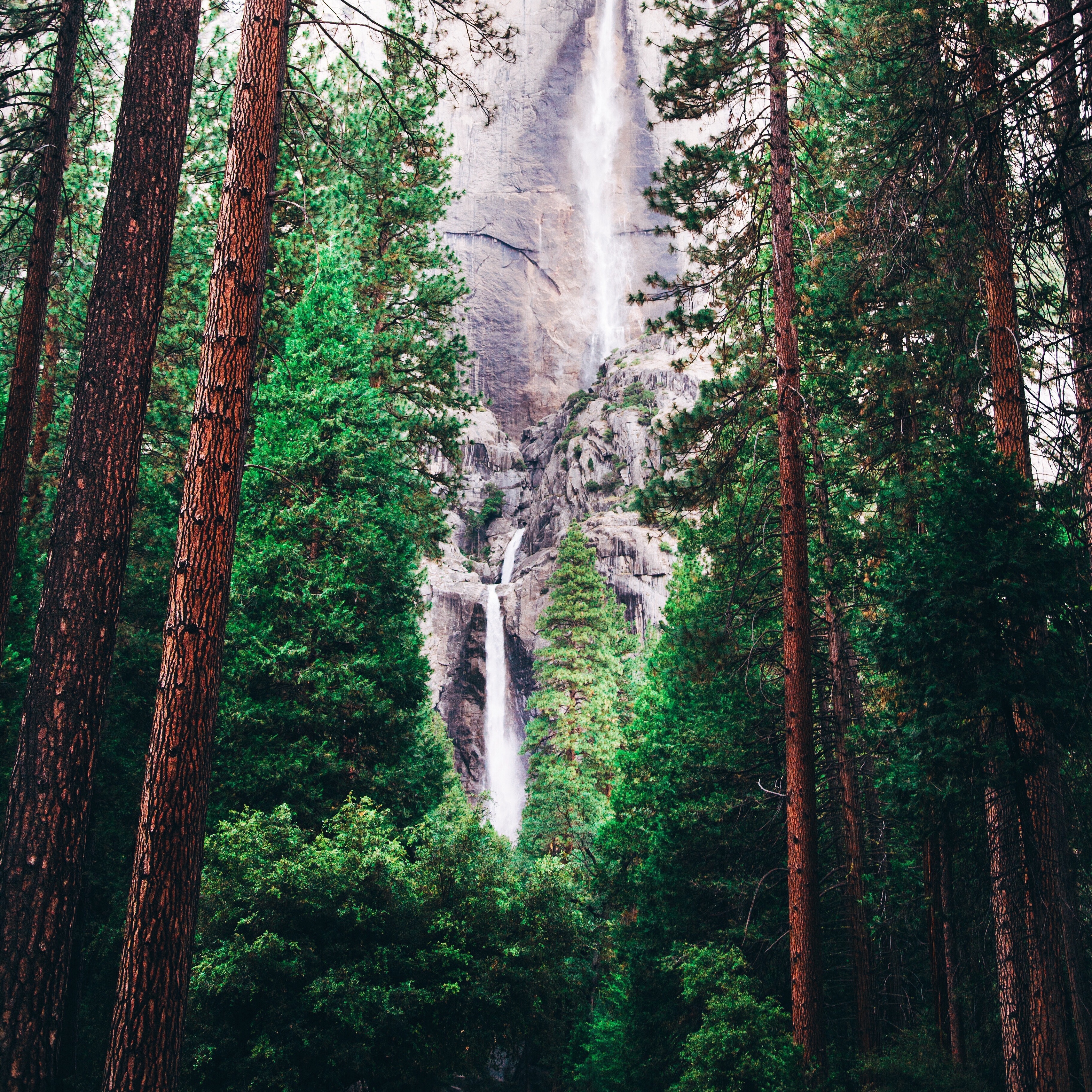 Wallpaper Waterfall, Forest, Trees - Forest Waterfall - HD Wallpaper 