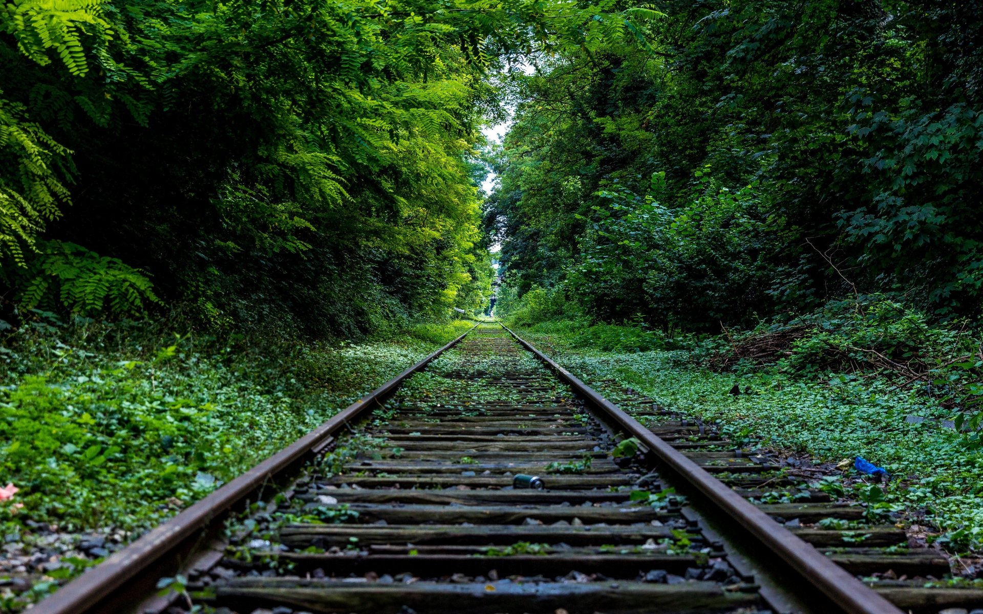 Walking Dead Train Track - HD Wallpaper 