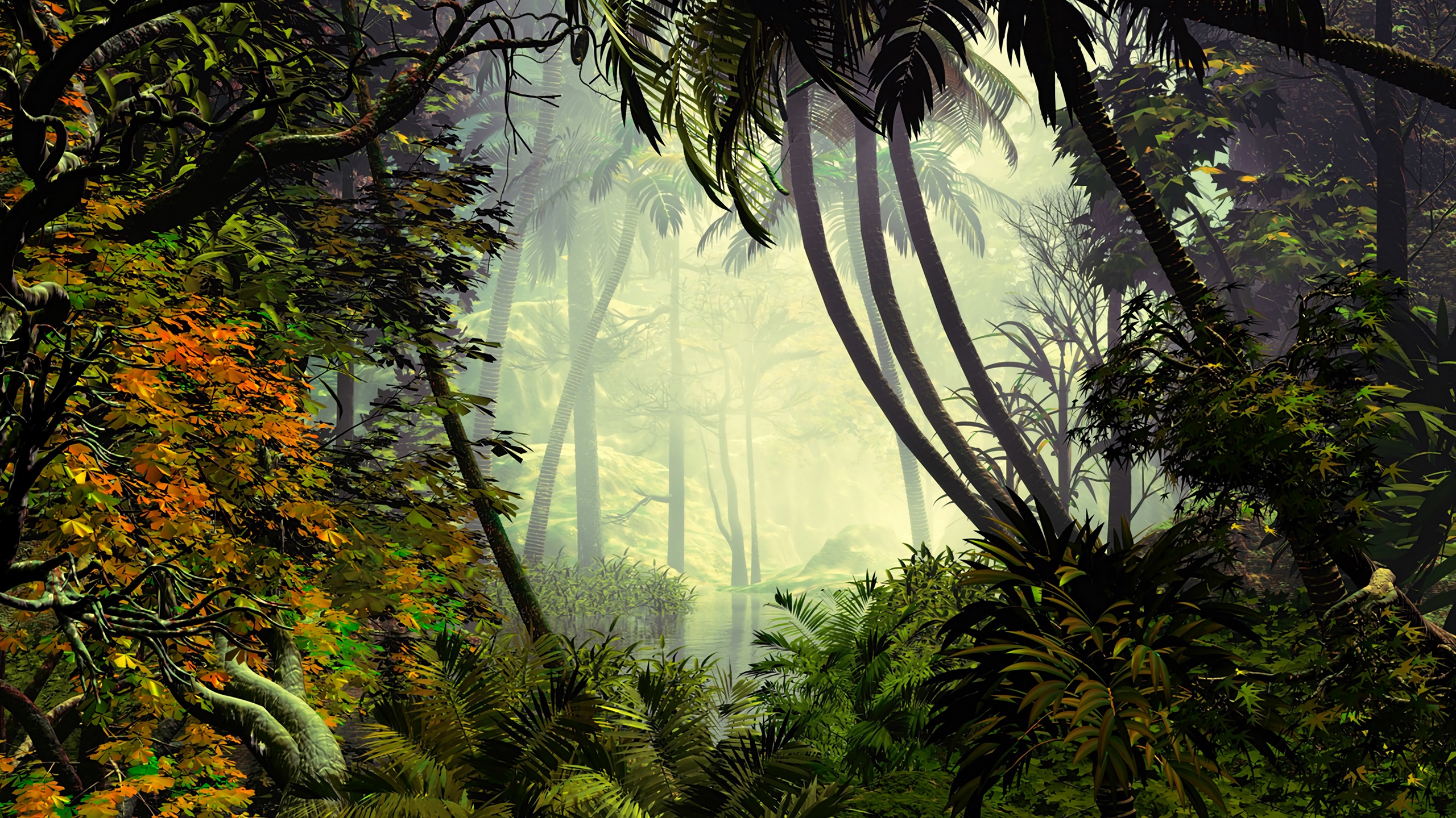 Wallpaper Palm Trees, Trees, Jungle, Fog - HD Wallpaper 
