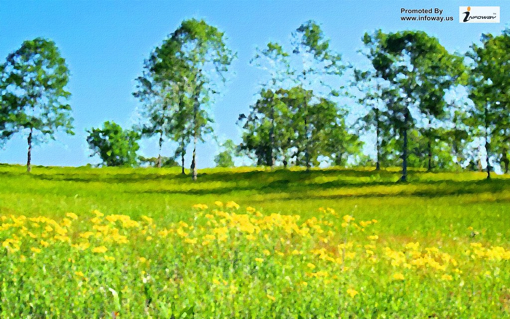 Landscape Wallpapers Hd Beautiful Scenery Wallpapers - Field - HD Wallpaper 