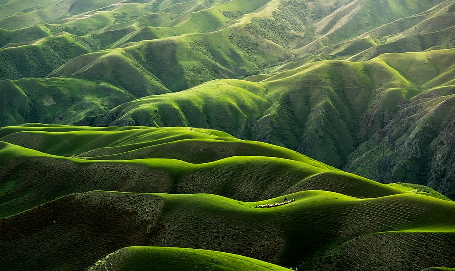 Body Grassland In Yili Xinjiang China - HD Wallpaper 