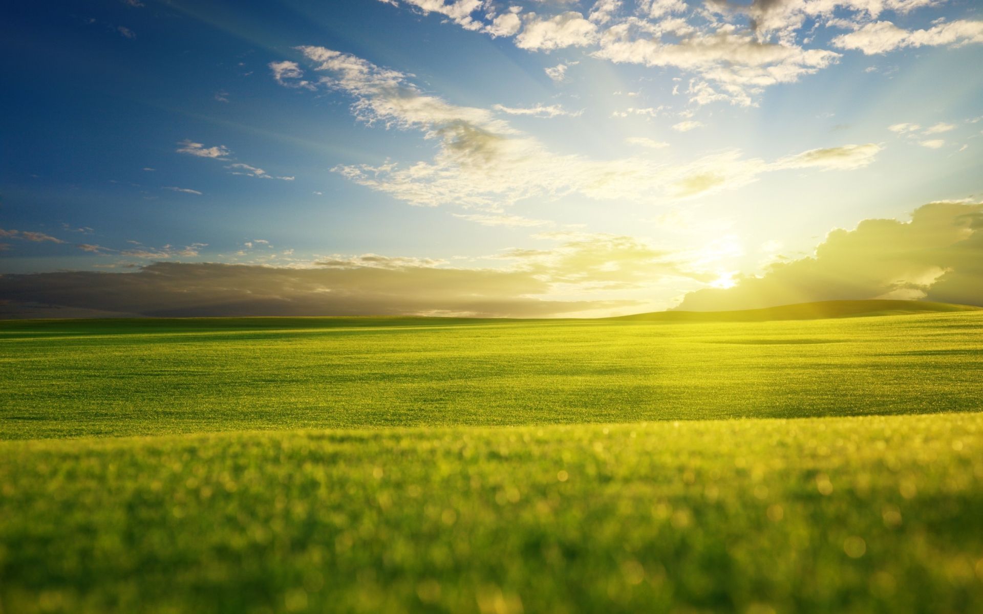 Sunrise Desktop Wallpaper - Beautiful Grass Field - HD Wallpaper 
