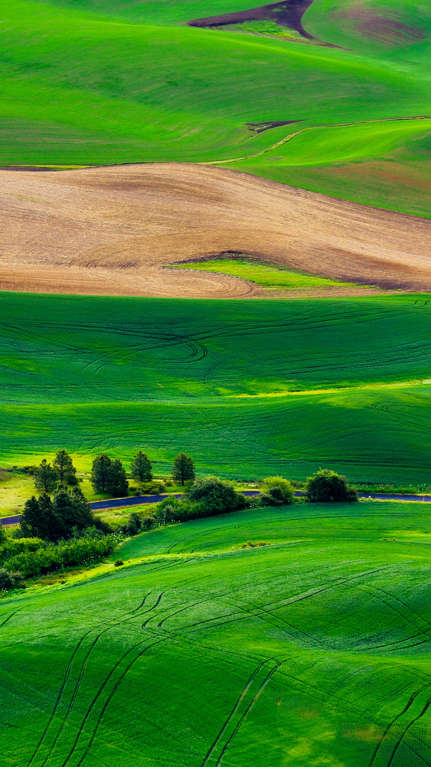 Natural Green Wallpaper Desktop - 1440x2560 Wallpaper Natural Green Wallpaper Desktop - 1440x2560 Wallpaper