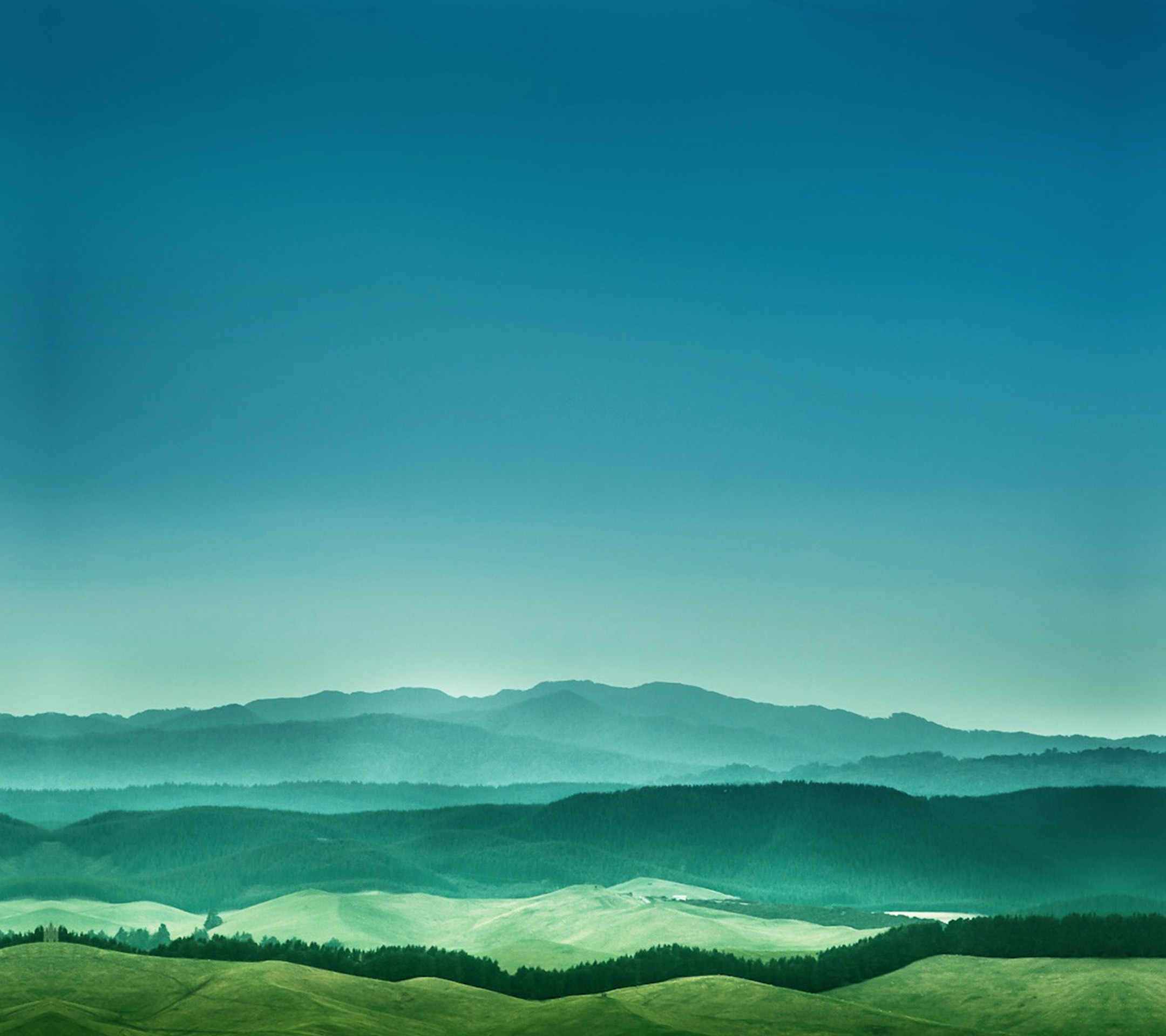 Forest Landscape Wallpaper Hd - HD Wallpaper 