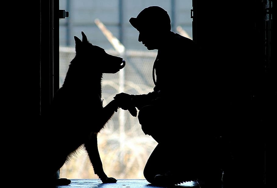 Silhouette Photography Of Man And Dog Sitting Near - Military K9 - HD Wallpaper 