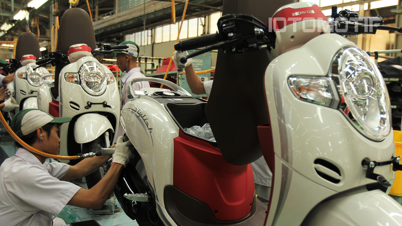 Honda Scoopy - HD Wallpaper 