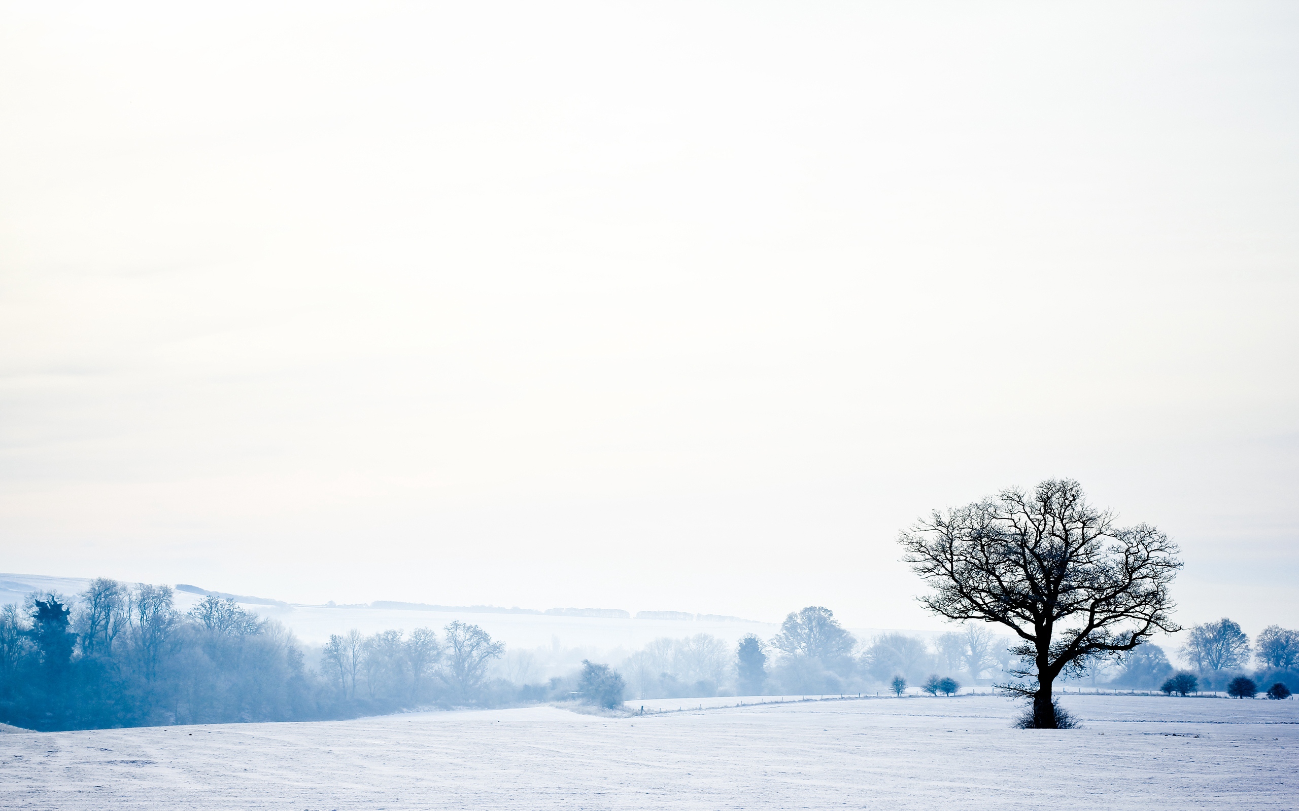 Wallpaper Landscape, Tree, Lonely, Snow, Winter, Empty, - Winter - HD Wallpaper 
