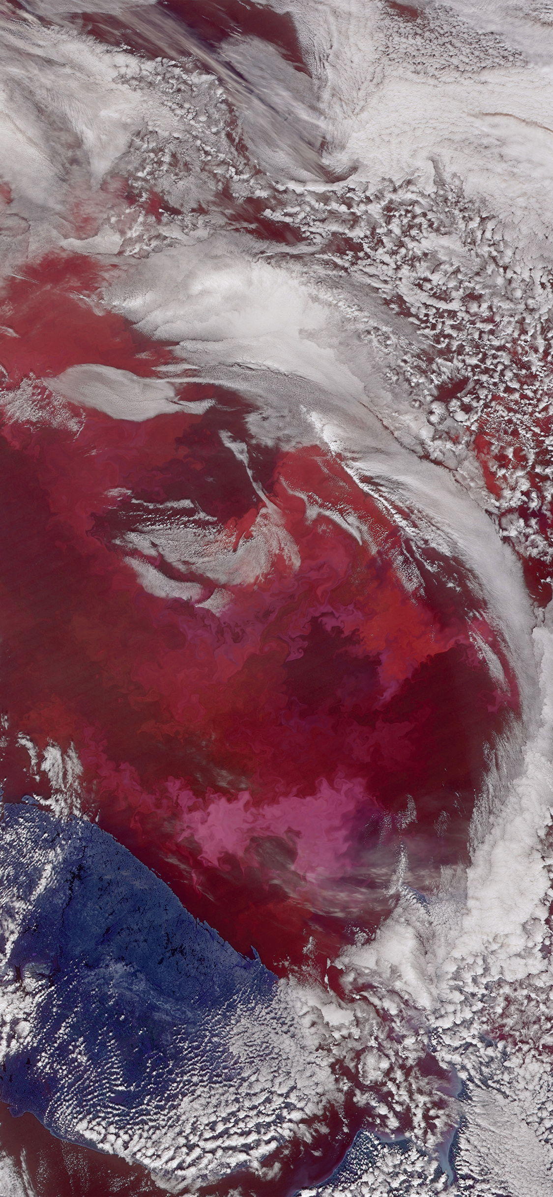 Com Apple Iphone Wallpaper Av52 Earthview Sea Cloud - White And Red Wallpaper For Iphone X - HD Wallpaper 