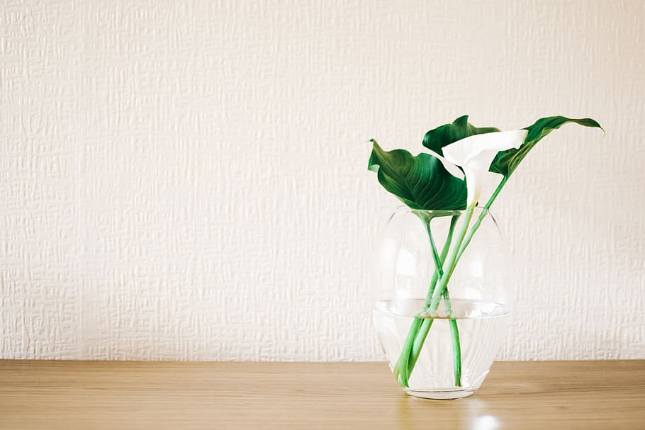 Vase Plant - HD Wallpaper 