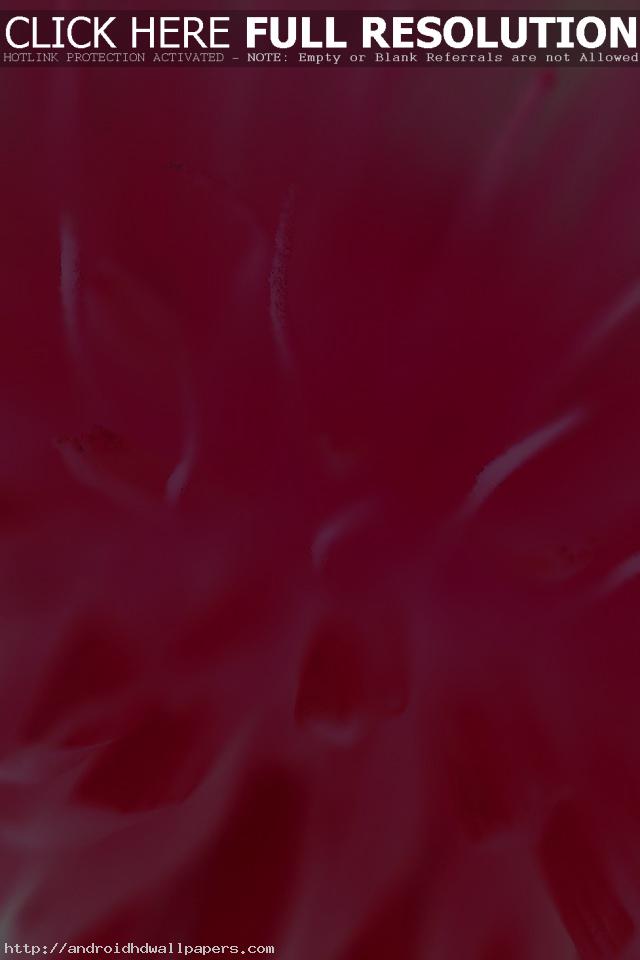 Red And Pink Wallpaper - Warren Street Tube Station - HD Wallpaper 