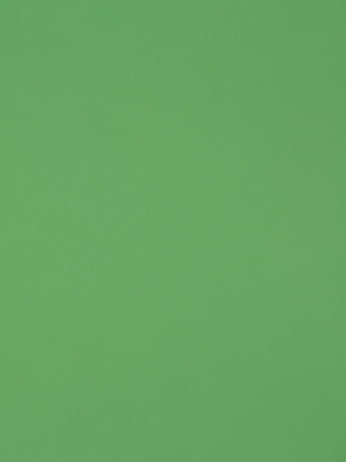 Grass - HD Wallpaper 