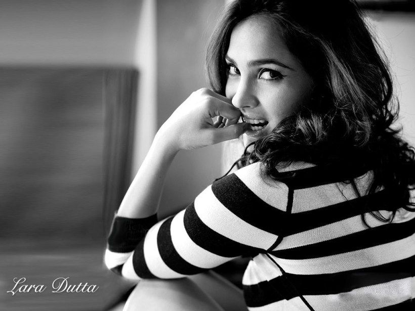 Black N White Hd - HD Wallpaper 