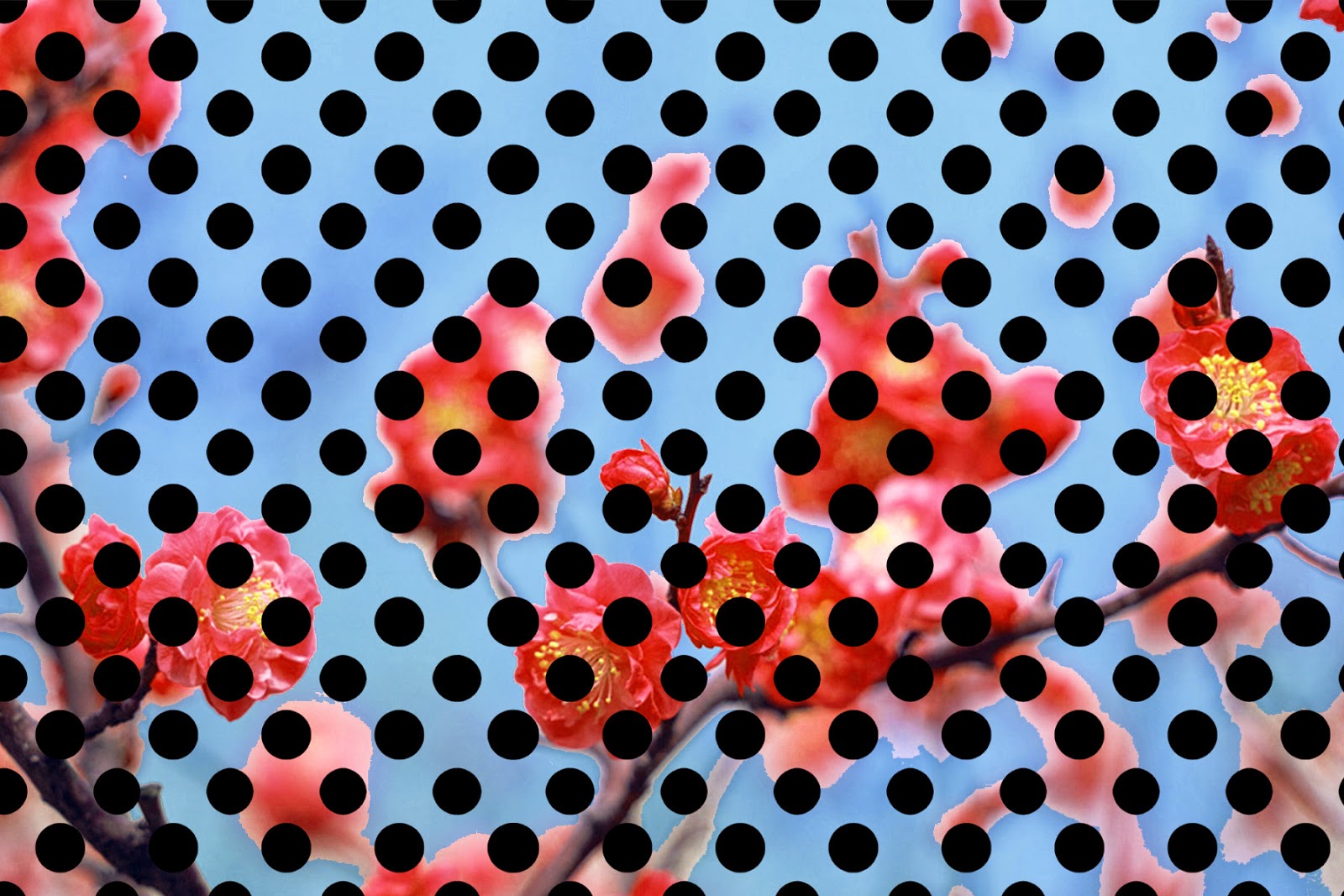 Blue Polka Dots Wallpaper - Smith & Wesson Cs40 Value - HD Wallpaper 