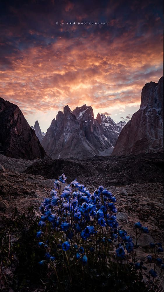 Beautiful Photography Nature 500px - HD Wallpaper 