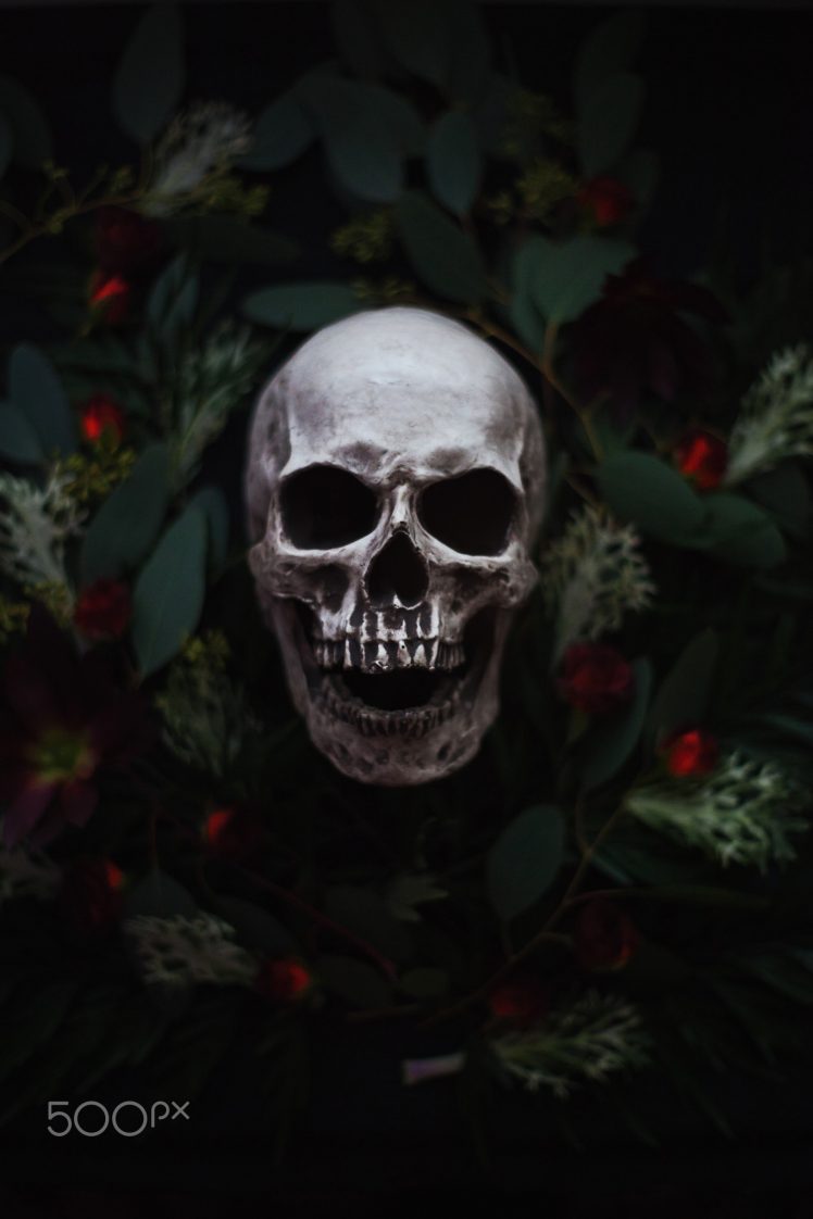 Skull - HD Wallpaper 