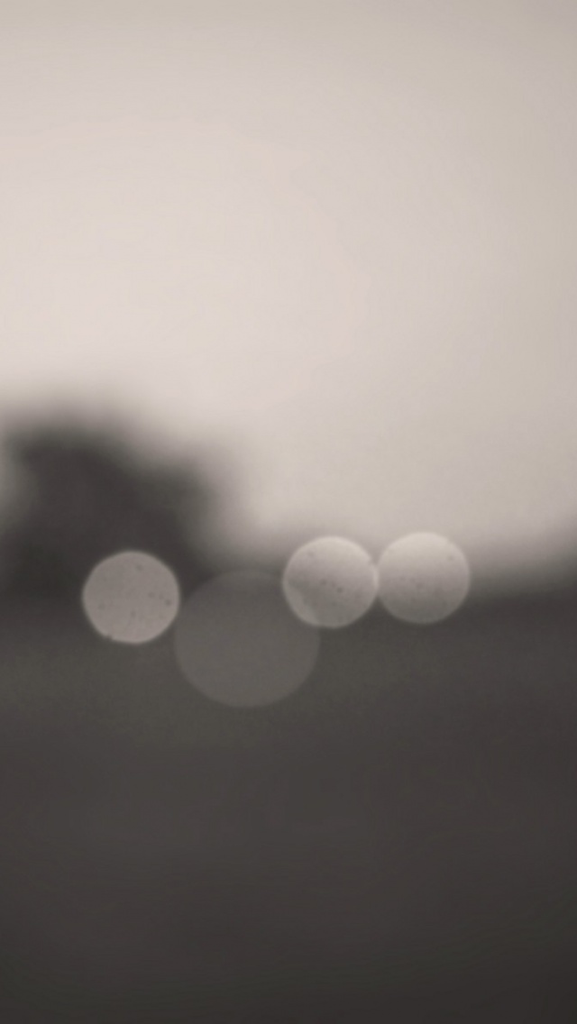 Macro Photography - HD Wallpaper 