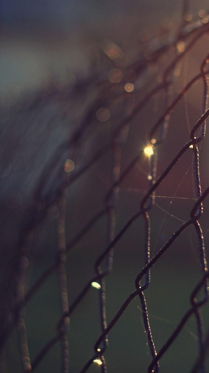 Iphone 7 Plus Focus - HD Wallpaper 