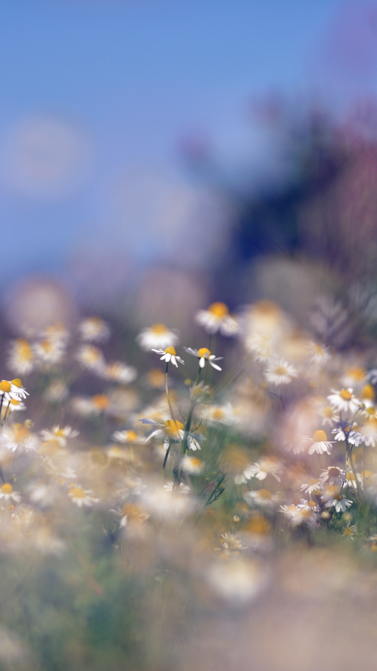 Natural Wallpaper Iphone 8 - HD Wallpaper 