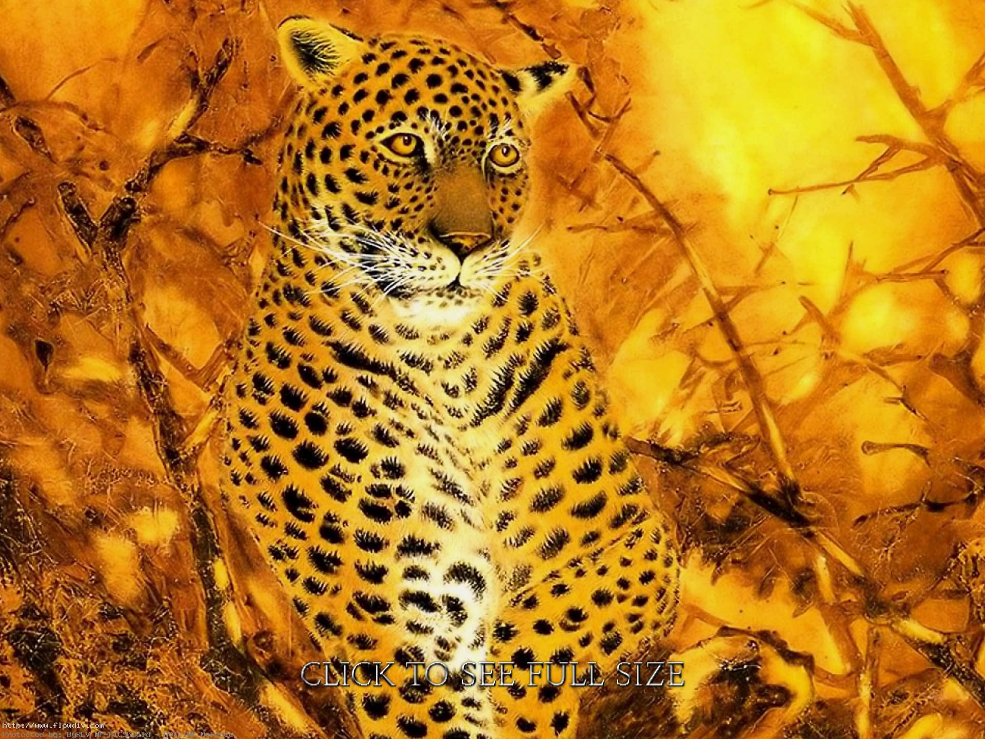 Leopard Folklore From Central Africa - HD Wallpaper 